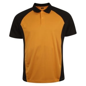 Training Polo