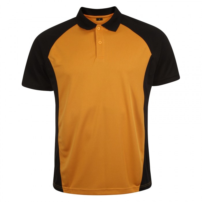 Training Polo