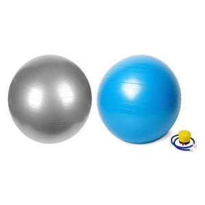 Vector X Swiss Gym Ball