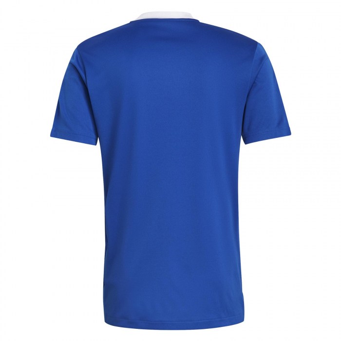 Adidas Tiro 21 Jersey (M)
