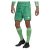 Adidas CONDIVO GK 21 SHORT Semi Solar Lime