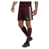 Adidas Squadra 21 Shorts (M) Team Maroon-White