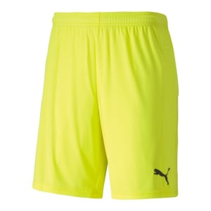 Puma Goal Shorts