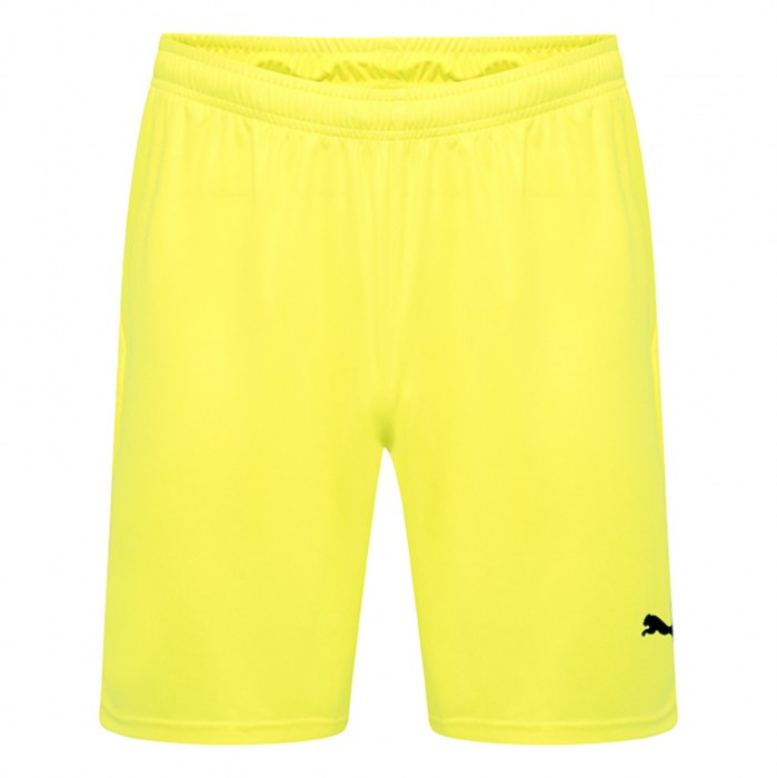 Puma Goal Shorts