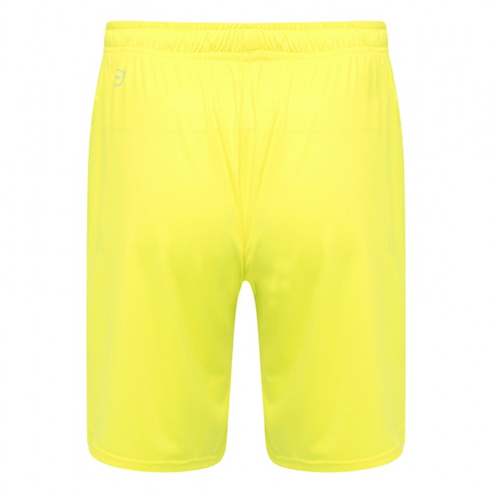 Puma Goal Shorts
