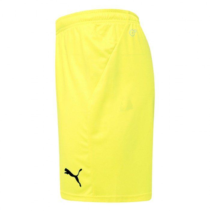 Puma Goal Shorts