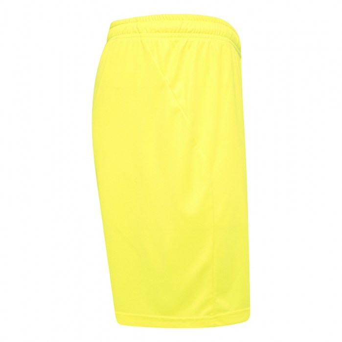 Puma Goal Shorts