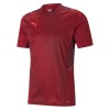 Puma Team Cup Graphic Jersey Chilli Pepper
