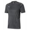 Puma Team Cup Graphic Jersey Asphalt