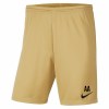 Nike Park III Shorts Jersey Gold-Black