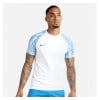 Nike Academy Short Sleeve Jersey White-Royal Blue-Royal Blue