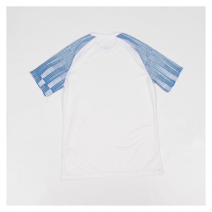 Nike Academy Short Sleeve Jersey White-Royal Blue-Royal Blue