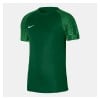 Nike Academy Short Sleeve Jersey Pine Green-Hyper Verde-White