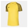 Nike Academy Short Sleeve Jersey Tour Yellow-Black-Black