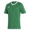 adidas Entrada 22 Short Sleeve Jersey Team Green-White