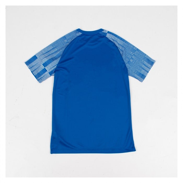 Nike Academy Short Sleeve Jersey Royal Blue-White-White