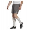 adidas Entrada 22 Shorts Team Grey Four