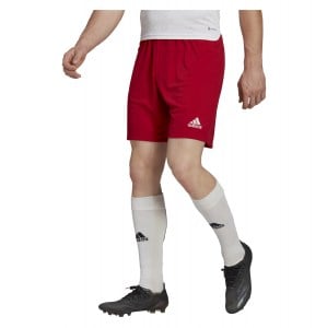 adidas Entrada 22 Shorts