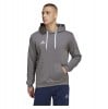 adidas Entrada 22 Hoodie