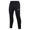 Nike Dri-FIT Academy Pro Pants Black-Green Spark-White