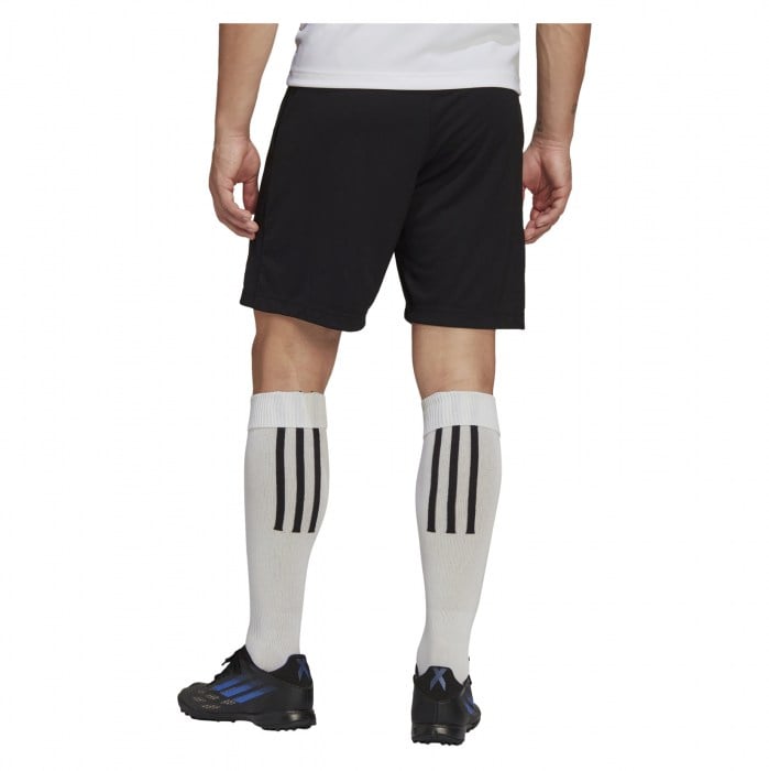 adidas Entrada 22 Training Shorts