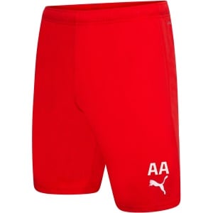Puma teamRISE Shorts