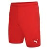 Puma teamRISE Shorts