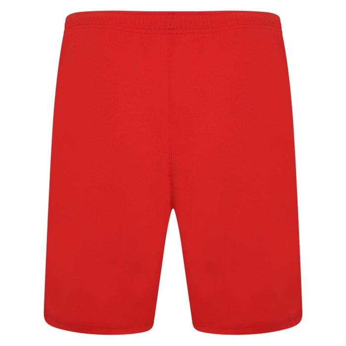Puma teamRISE Shorts
