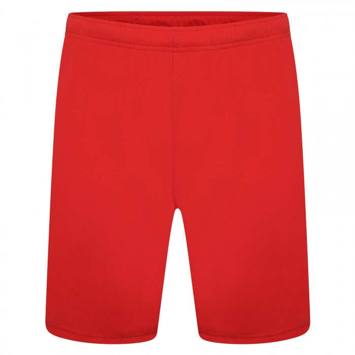 Puma teamRISE Shorts