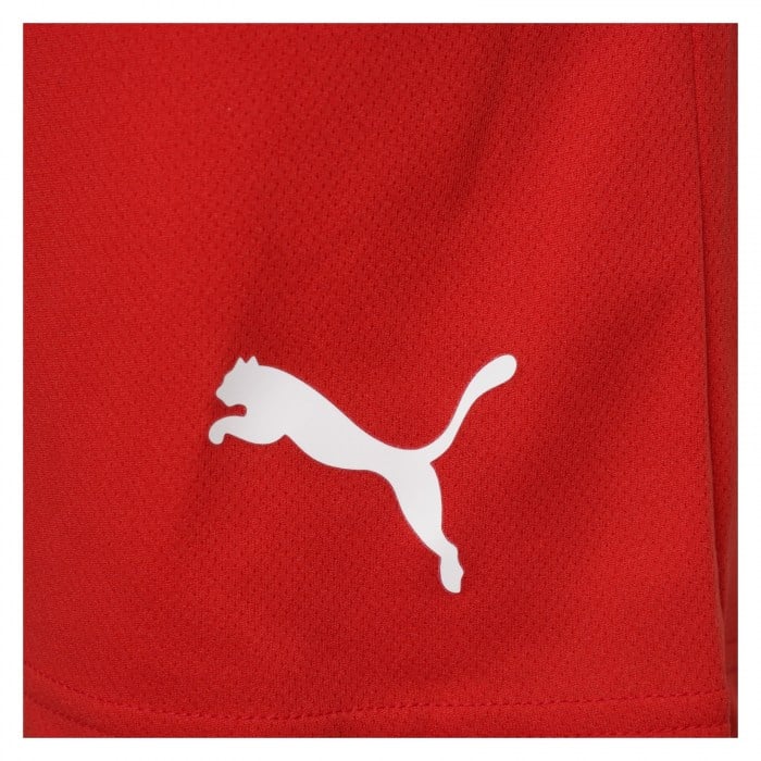 Puma teamRISE Shorts