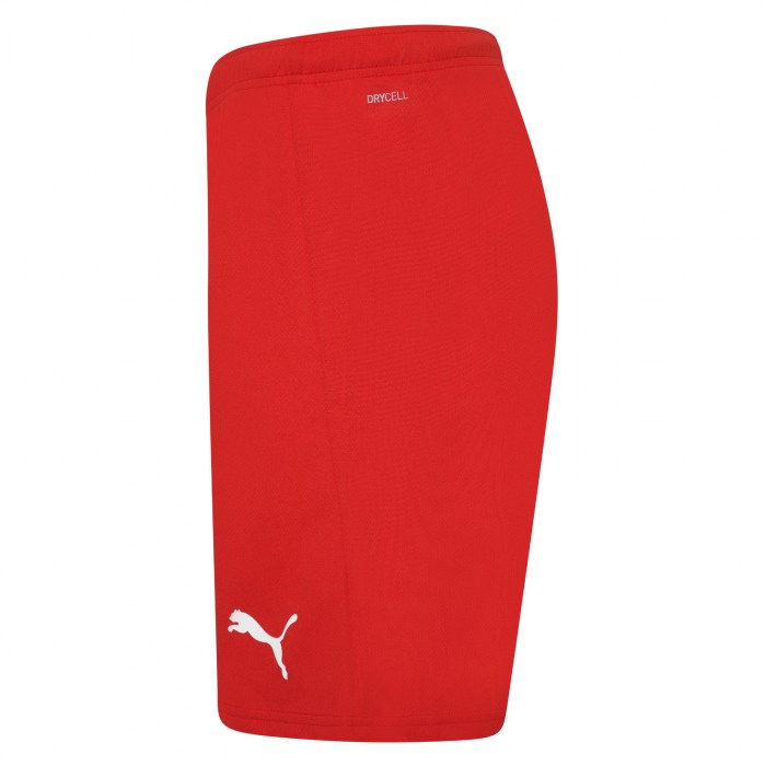 Puma teamRISE Shorts