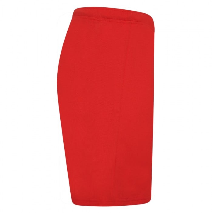 Puma teamRISE Shorts