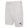 Puma teamRISE Shorts Puma White-Puma Black