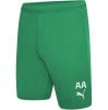 Puma teamRISE Shorts Pepper Green-Puma White