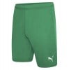 Puma teamRISE Shorts Pepper Green-Puma White