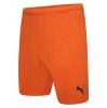 Puma teamRISE Shorts Golden Poppy-Puma Black