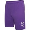 Puma teamRISE Shorts Prism Violet-Puma White
