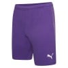 Puma teamRISE Shorts Prism Violet-Puma White