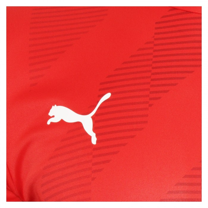 Puma teamGLORY Jersey