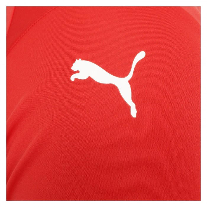 Puma teamGLORY Jersey