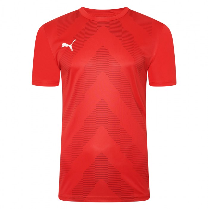 Puma teamGLORY Jersey