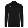 Puma teamLIGA Training Jacket Black-Black