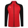 Puma teamLIGA Training Jacket