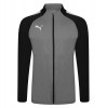 Puma teamLIGA Training Jacket Smoke Pearl-Black