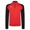 Puma teamLIGA Training 1/4 Zip Top