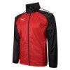 Puma teamLIGA Training A/W Jacket