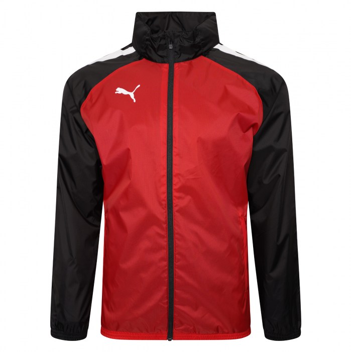Puma teamLIGA Training A/W Jacket