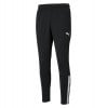 Puma teamLIGA Training Pants