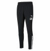 Puma teamLIGA Training Pants