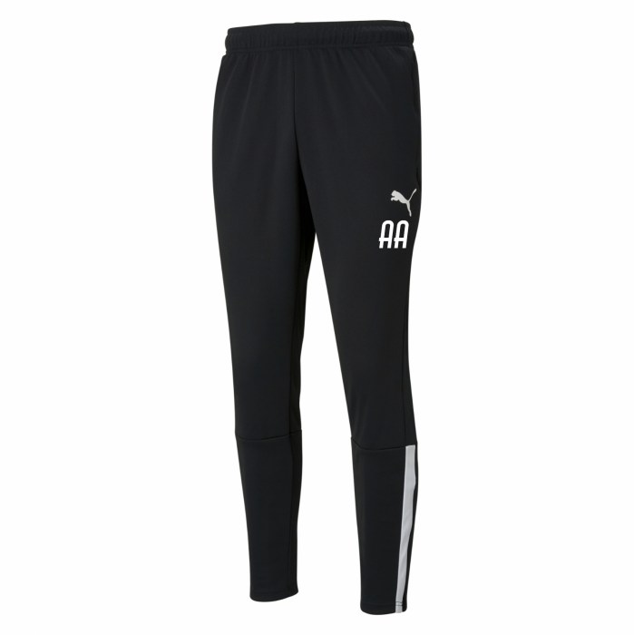 Puma teamLIGA Training Pants